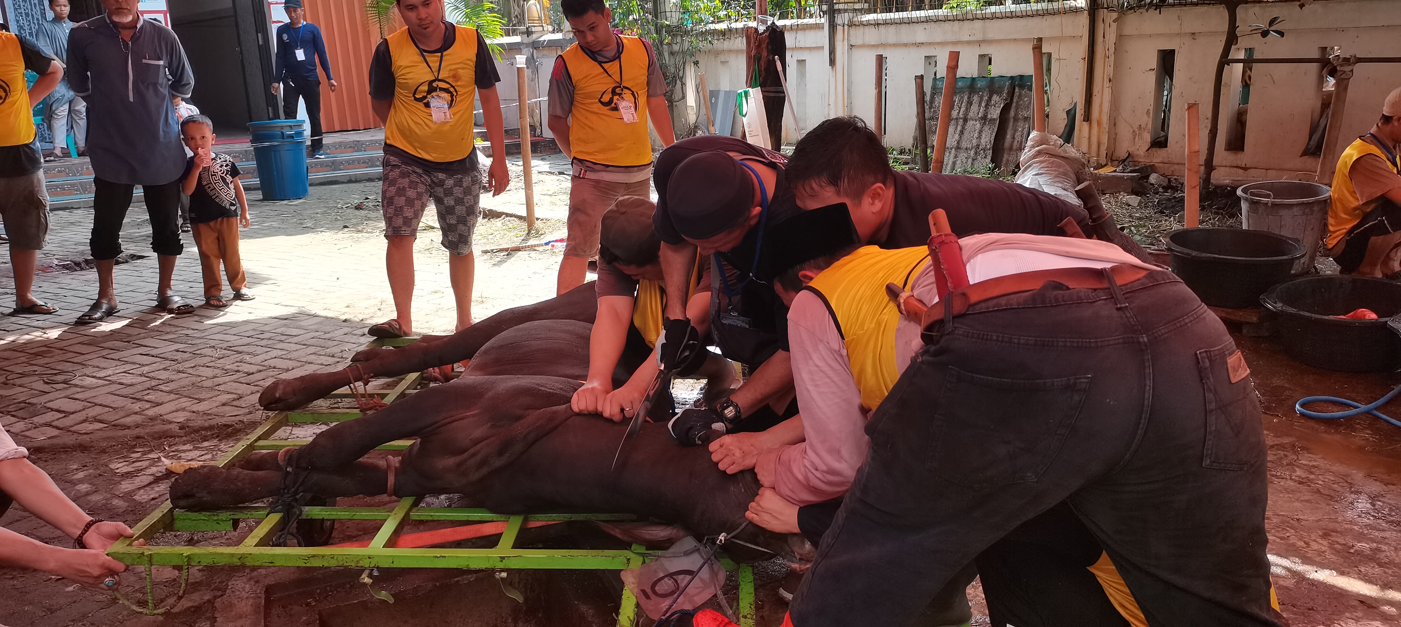 IMG 20250606 095533 BURST001 COVER